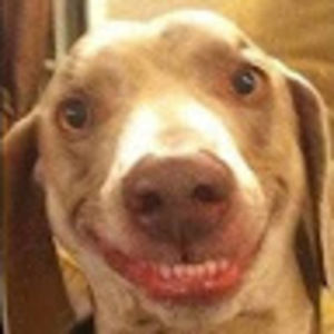 Meet your Posher, Omar